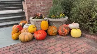 Hampton Roads Gardens 2023 Supercut Norfolk Lewis Ginter Richmond Botanical Gardens