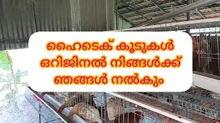 Bv -380കോഴികൾക്ക് വേണ്ടി നിർമിച്ച ഒരു പുതിയ വർക്ക്  