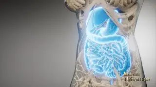 La Gastroenterologia d'avanguardia grazie alla microbiota revolution
