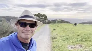 Chambers Gully Hike 9km great views of Adelaide and plenty of nature
