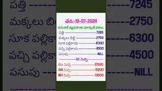 Date: 19-07-2024 Warangal market rates... #market #mirchi #mirchimarket #warangal #tejamirchiprice