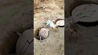 Easy quails trap using cardboard box underground #building #birds
