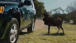 Farmers Insurance Covers Ghosts