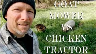 Goat Mower vs Chicken Tractor