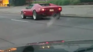 Pantera