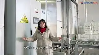 3484 Pallet Positions, &ndash;25&deg;C Stability｜RIDLEY &times; DELIECN Automated Cold Chain Tour