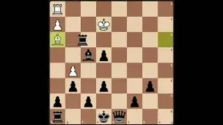 Reti Opening   Black Mustang Defense chess game