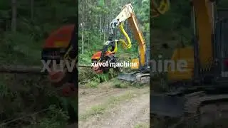 One machine to cut stumpage + sectioning + stacking #excavatorattachment
