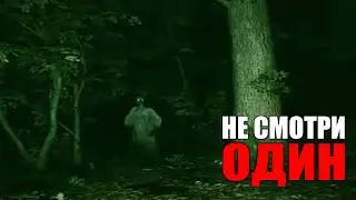САМЫЕ ОПАСНЫЕ ВСТРЕЧИ ИЗ ПОХОДА СНЯТЫЕ НА КАМЕРУ #19