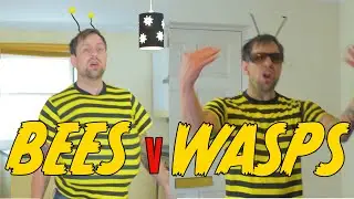 Bees v Wasps! The Difference Between Bees & Wasps