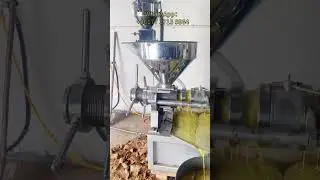 Fully automatic spiral oil fryer for rapeseed peanut soybean oil sunflower walnut and compressed