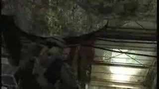 Black Eye Skull Walkthrough