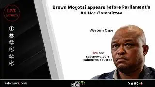 Brown Mogotsi appears before Parliament&rsquo;s Ad Hoc Committee | 24 February 2026