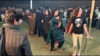 Tu shair hai mai tere shaire .. Honey zaido mast dance video 🥰