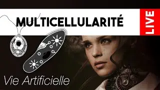 Multicellularit&eacute; Artificielle