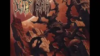 Decrepit Birth - 05 The Enigmatic Form