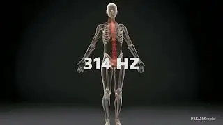 314 HZ - Whole Body Healing