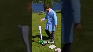 &ldquo;Weight Test: Does Weight Change on Different Scales?&rdquo;