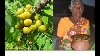 நெல்லிக்காய் ஊறுகாய் IN VILLAGE / Amla pickle /GOOSEBERRY PICKLE IN VILLAGE /Eng Sub- Ep: 37