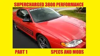 GM W Body Performance