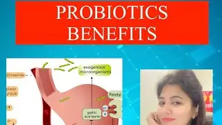 Probiotics to avoid gas, acidity and constipation