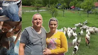ODBILI 15.000 EURA BIKA NEBI DALI NI ZA SUHO ZLATO moje SELO LJEPŠE OD PARIZA