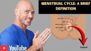 Menstrual Cycle: A Brief Definition # doctor # johnysins #drjohnysins #MenstrualCycle