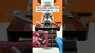Chocolate under the microscope #chocolate #microscope #knowledge #education