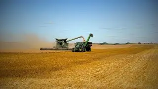 Полевой мусор и поломки комбайнов