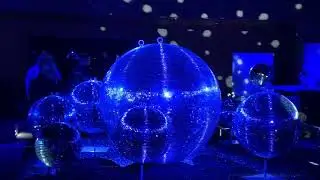 🌳 Botanical garden evening lights | 😊 artistic & calming | decorated nature
