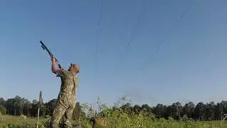 El Jefe Sunflower Field Dove Hunt #4, 9/21/24