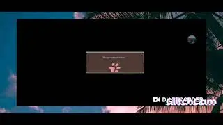 Cat simulator animal life