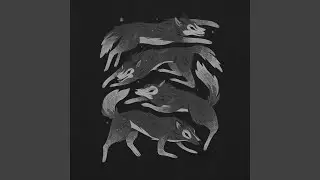 Wolf Pack