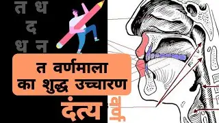 Hindi Sikhe | त थ द ध न उच्चारण | LEARN HINDI ALPHABETS PRONUNCIATION TT TTH DD DDH NA | दंत्य वर्ण