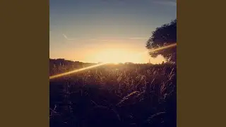 Cilipou Te Fal&eacute;