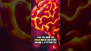 Do you know human brain storage! #doyouknow #facts #youtubeshorts #history #viralvideo