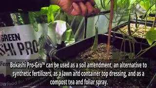 My Good Green: Bokashi Pro-Grow