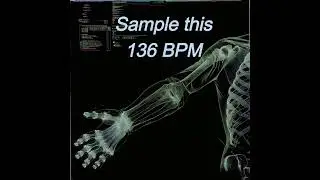 Sample This 136 BPM #producertok #music #sampletype #flstudio #samplethis