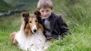 Movie Legends - Lassie
