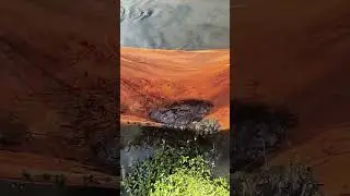 #fidh #fishingvideo #fishvideo #fishing #viralvideo #fishinglife