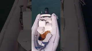 Zodiac 4.20   Mercury 40 hp