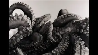 Hyperrealistic art - Silvia Pagano Art - HAI PAURA DEL BUIO?