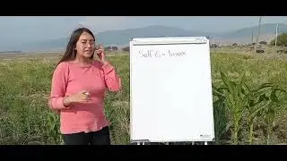 PIA Mejoramiento vegetal. Ximena Romo