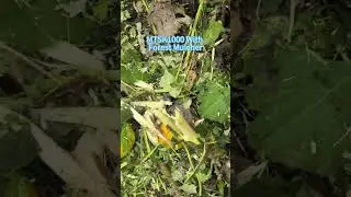 Vigorun Remote Control Forest Mulcher (MTSK1000 With Forest Mulcher) made by Vigorun Tech