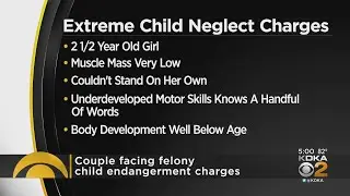 Couple faces felony child neglect charges