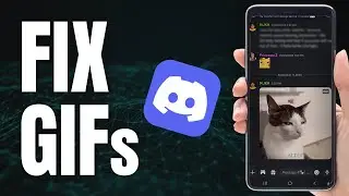 How to FIX Discord Gifs NOT Loading | Auto Animate Gifs in Discord