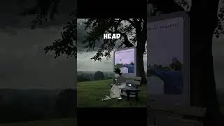 death bed (coffee for your head) &ndash; Powfu #1 deathbed reels song