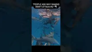#justaboy #shark #sharkattack #travel #beach #deepsea 🦈 #coralreef  #island 🏝