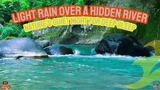 Light Rain Over a Hidden River | Nature&rsquo;s Quiet Night for Deep Sleep