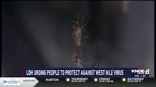 LDH urging people to protect against West Nile virus